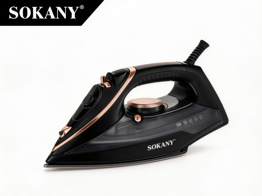 Steam Iron