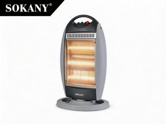 Electric heater
