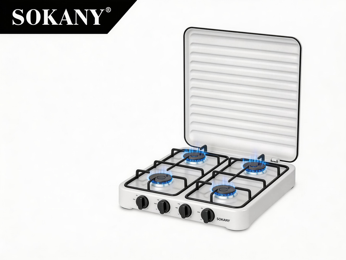 Gas Stove